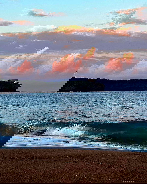 taylor.creeden taylor.creeden archive image