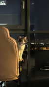 3xiiicom Altpins Profile Picture