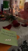 diana_rizz Altpins Profile Picture