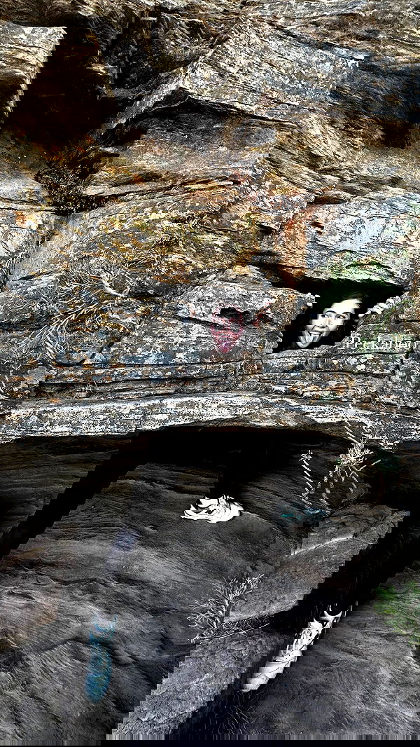 taylor.creeden taylor.creeden archive image