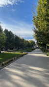 federica.piccinni Altpins Profile Picture