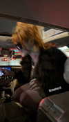 renatarrii Altpins Profile Picture