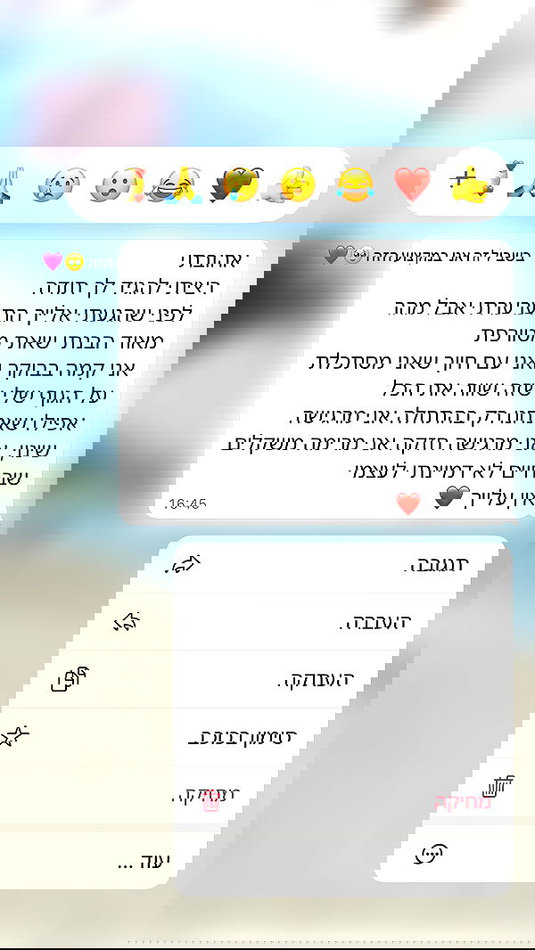 noammalka___ noammalka___ archive image