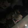 dommymommytiff Altpins Profile Picture