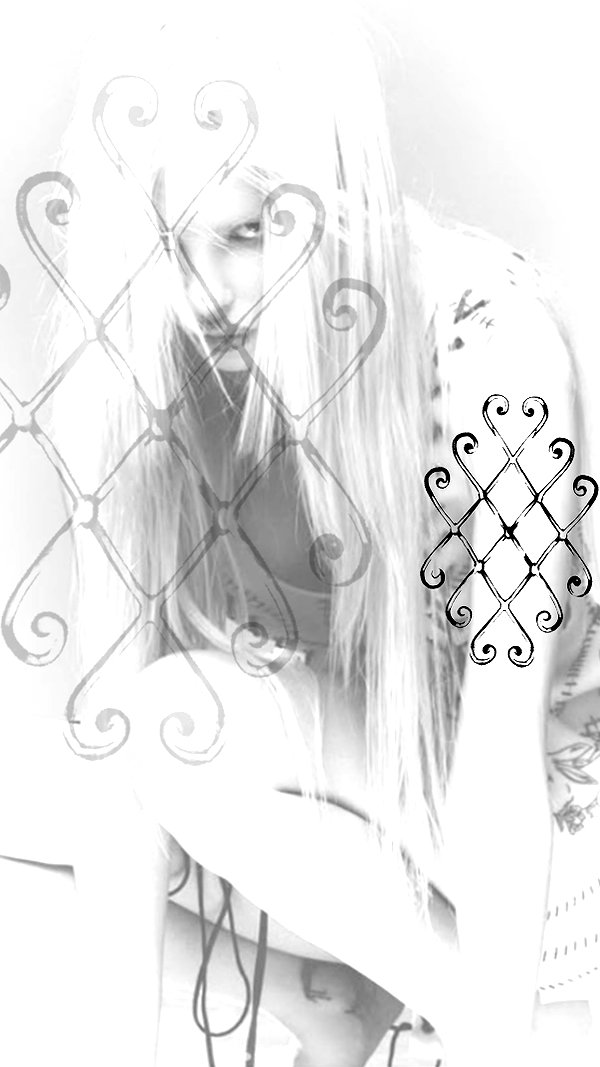 tal.naveh archive image