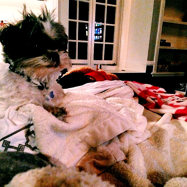ashleybenson instagram image archive image