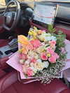 alma_ck_ Altpins Profile Picture