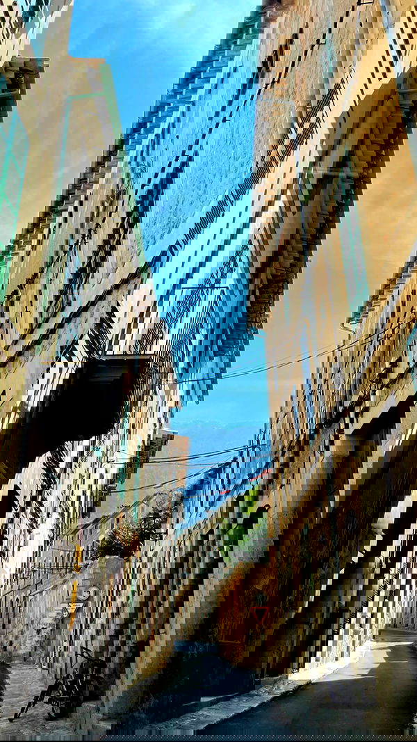 shunli__mei image ~ Altpins