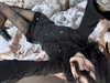 klywrxzzp Altpins Profile Picture