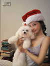 ll.lu1s Altpins Profile Picture