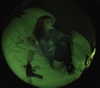 miss_baby007 Altpins Profile Picture