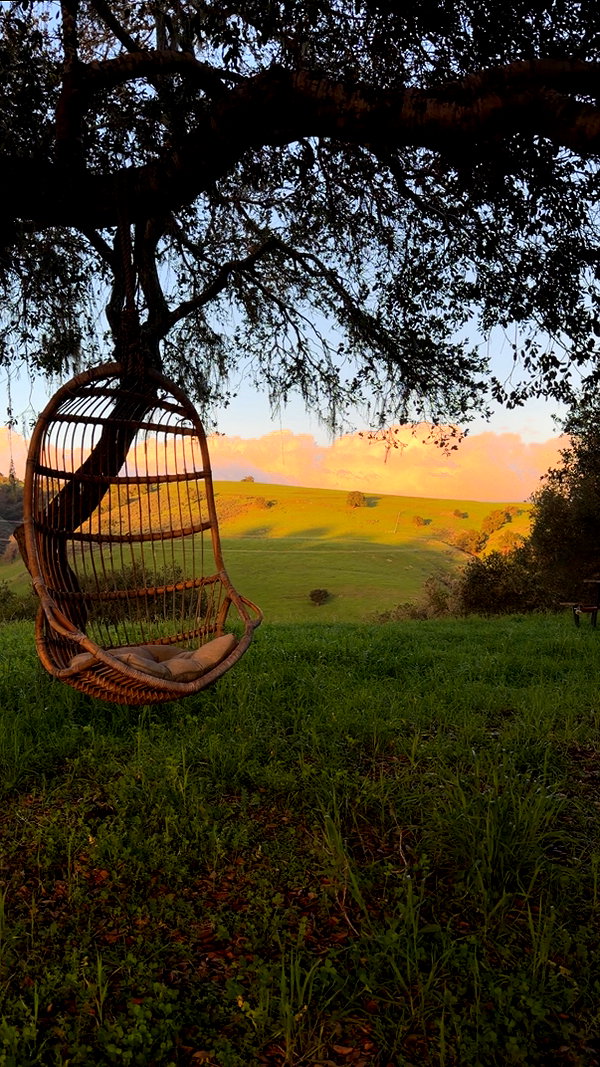 allie_dunn instagram image archive image