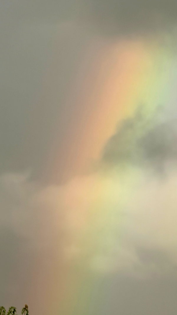 karin_orhov instagram image archive image