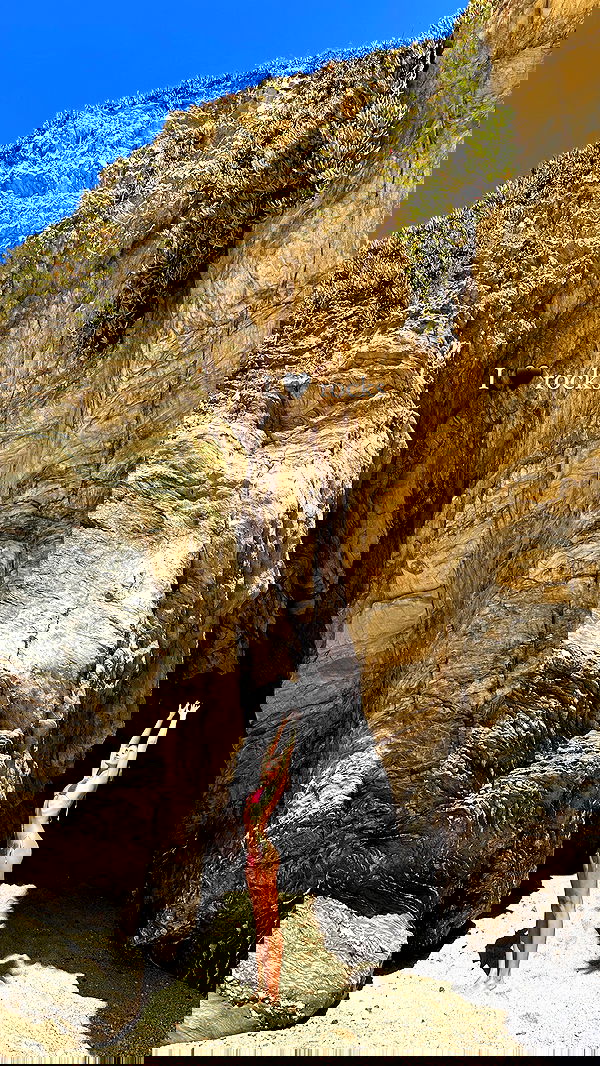 taylor.creeden taylor.creeden archive image