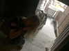 mvuwlo Altpins Profile Picture