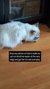 alice_hez Altpins Profile Picture