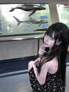 7k3ya__ Altpins Profile Picture