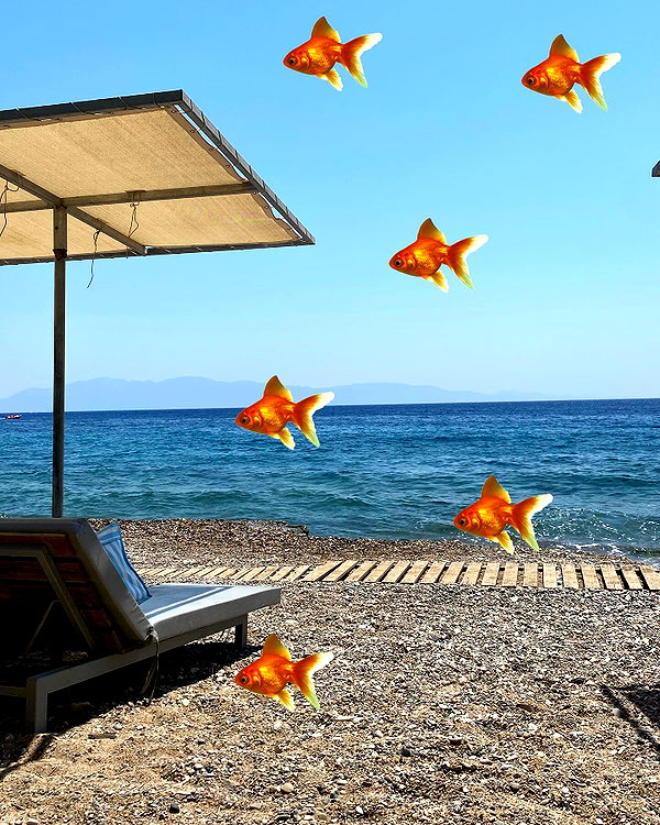 blarnes instagram image archive image