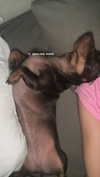 maya.keyy Altpins Profile Picture