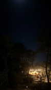gissell_eli Altpins Profile Picture