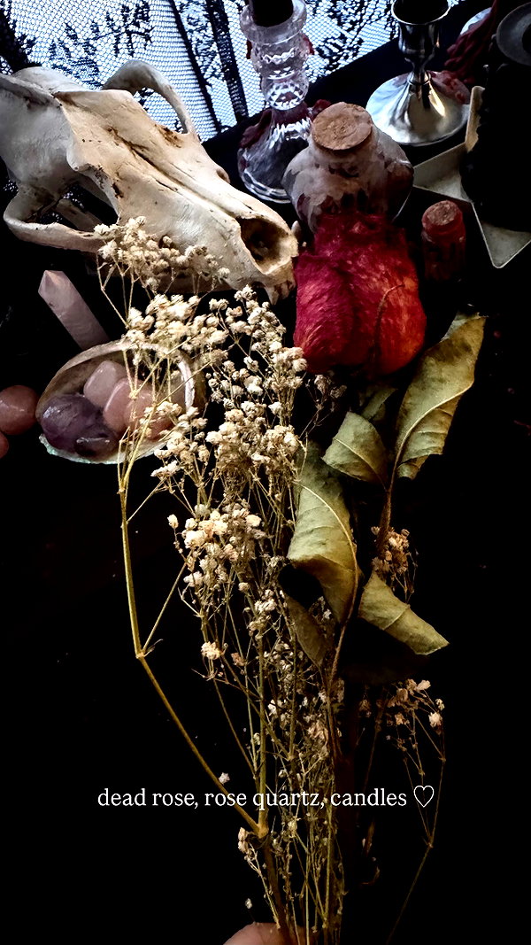 vampiryska instagram image archive image
