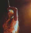 gabrielabee Altpins Profile Picture