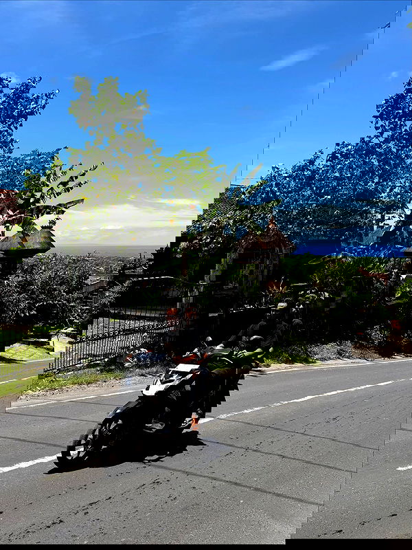 taylor.creeden taylor.creeden archive image