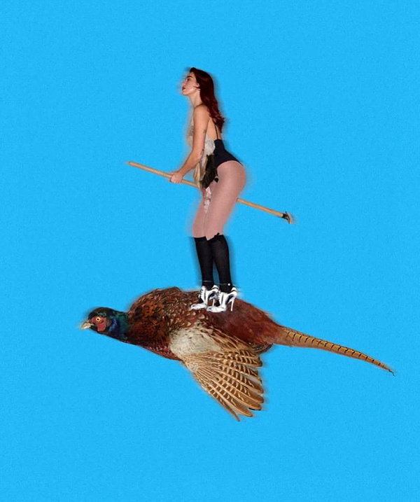 dualipa instagram image archive image