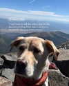 gabbyepstein Altpins Profile Picture