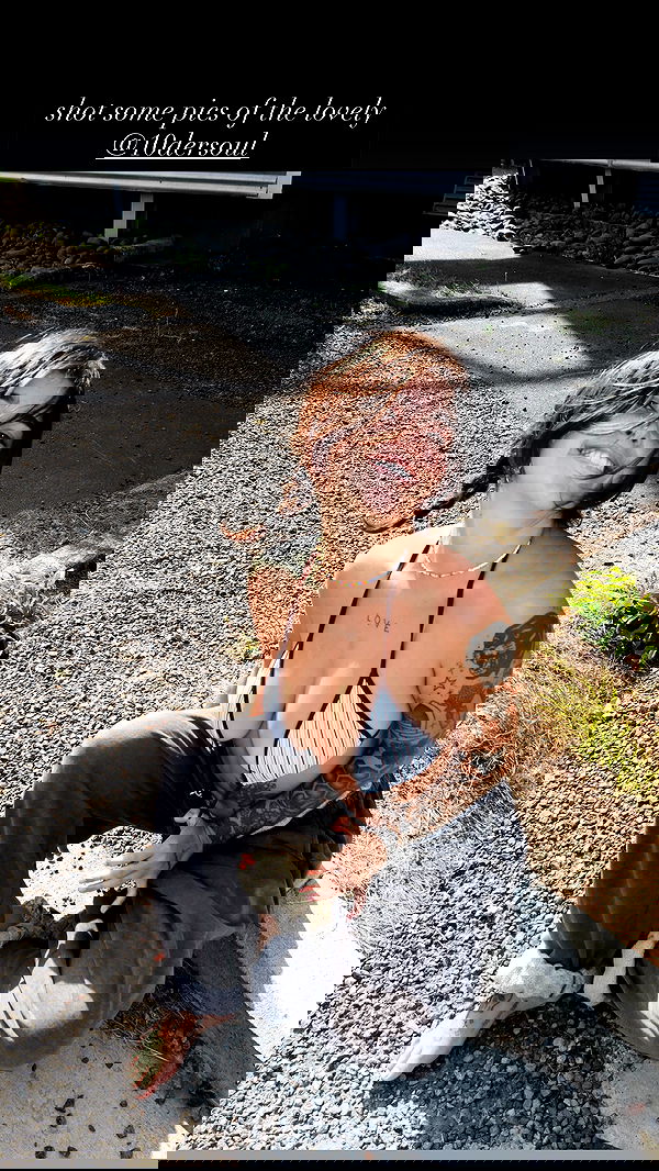 jasminxie2 jasminxie2 archive image