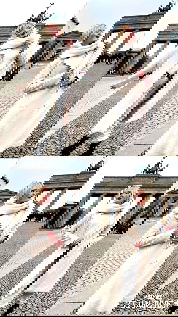 diana_polin diana_polin archive image