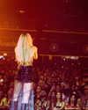 cannonstheband Altpins Profile Picture