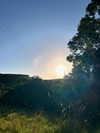 daisy_r_19 Altpins Profile Picture