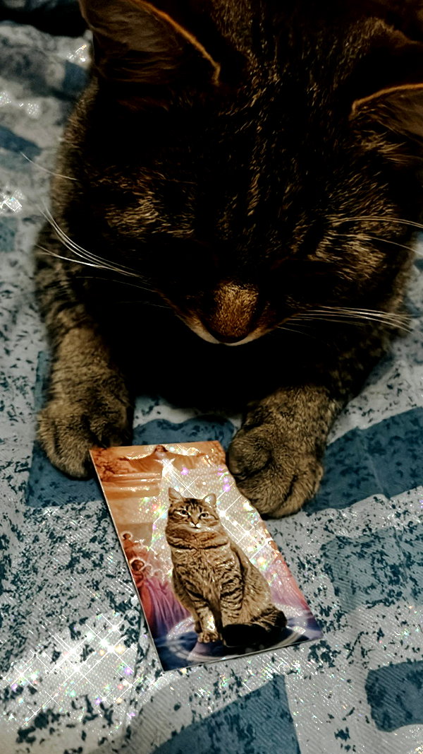 nishymoon_ archive image