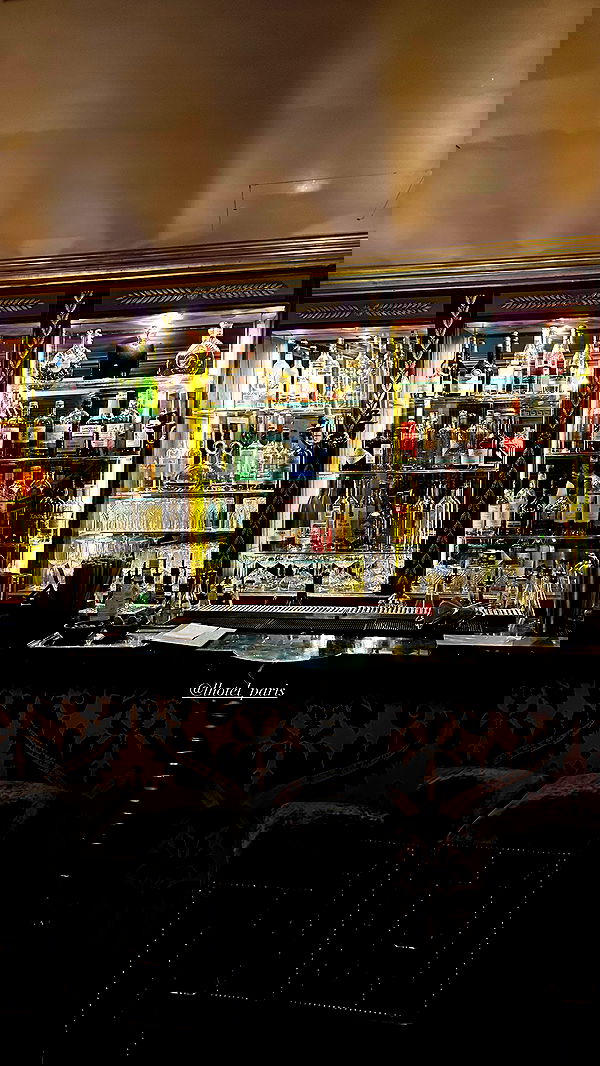 taylor.creeden taylor.creeden archive image