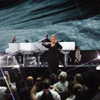 adele Altpins Profile Picture