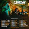 cannonstheband Altpins Profile Picture