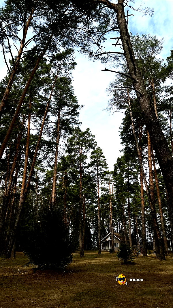 amatveyko archive image