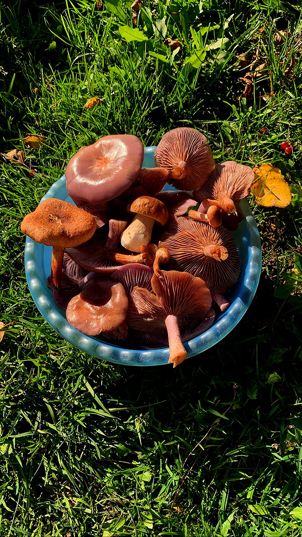 danafetishistova danafetishistova archive image