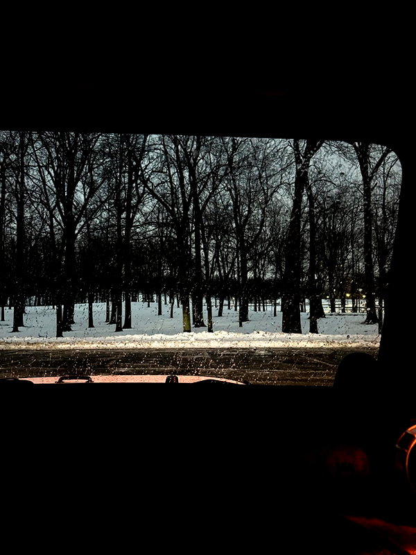 reneeebeller instagram image archive image