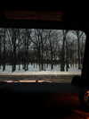 reneeebeller Altpins Profile Picture