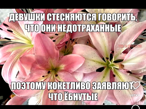 dalivrot instagram image archive image