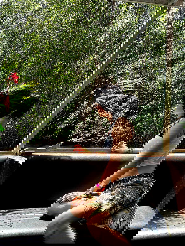 mosssaico mosssaico archive image