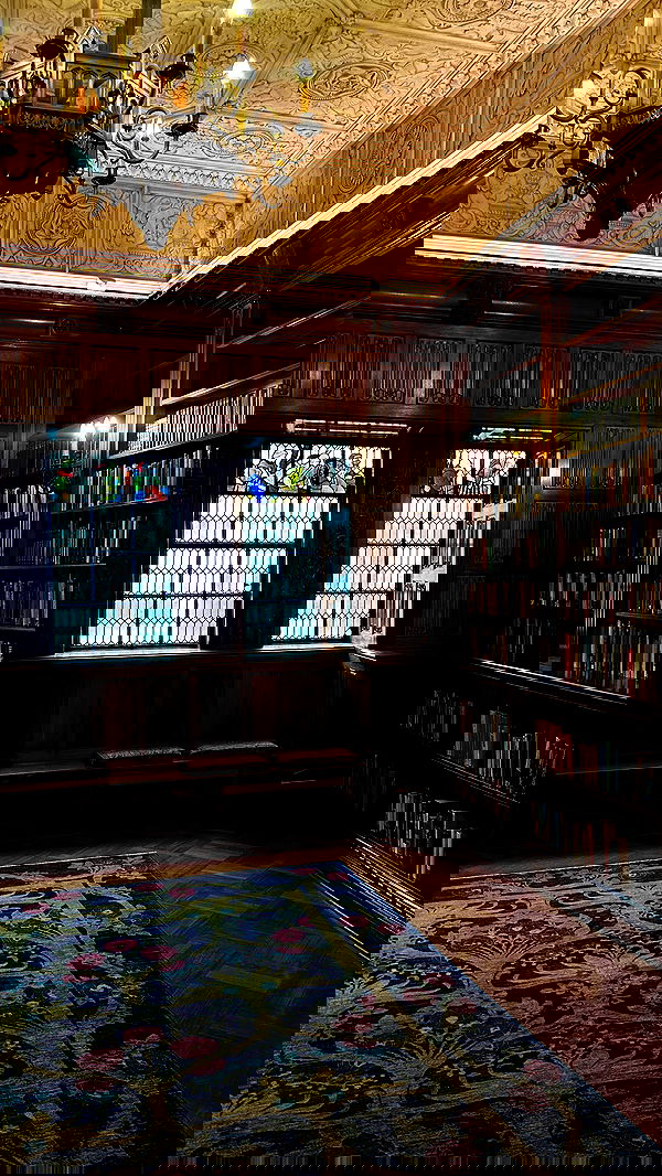 taylor.creeden taylor.creeden archive image