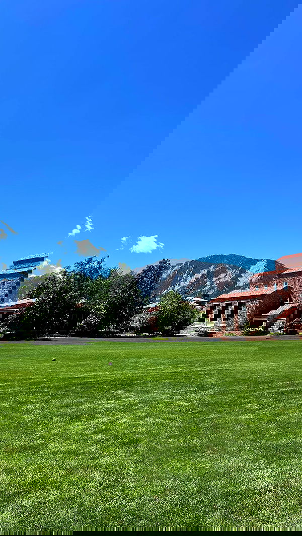 thelizzyporter thelizzyporter archive image