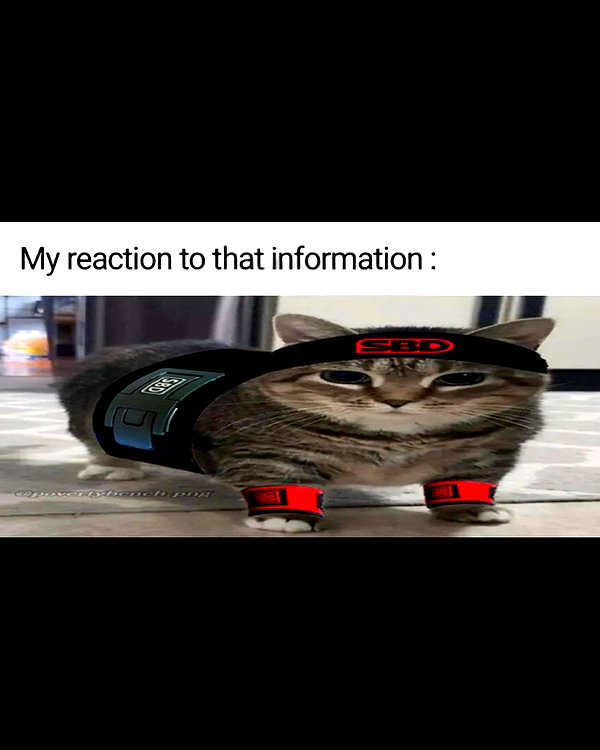 leanbeefpatty instagram image archive image