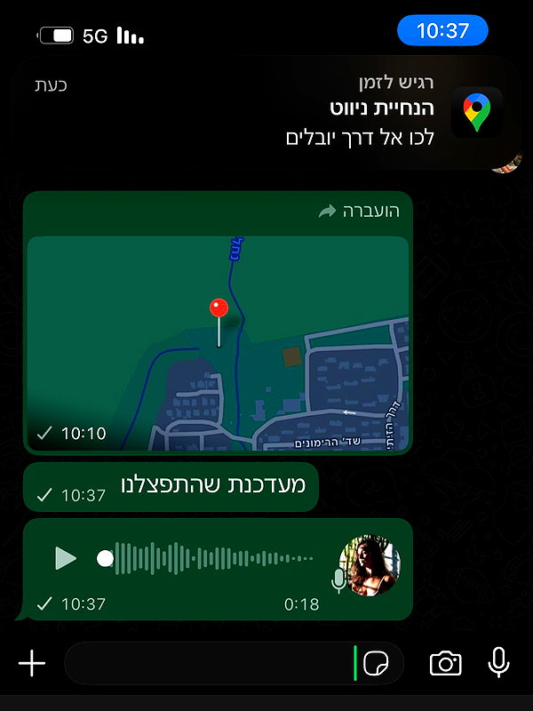 yuval_raz instagram image archive image