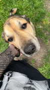 _urbaneva Altpins Profile Picture
