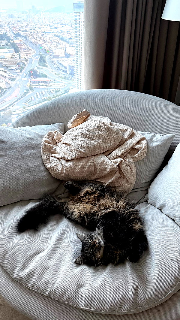 Archived image from @kaylasimmmons on Instagram