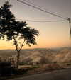 _femalien Altpins Profile Picture
